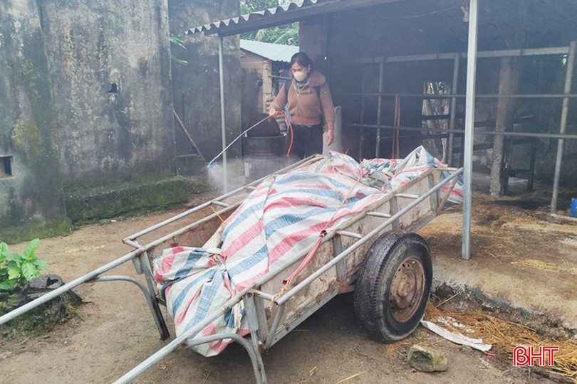 Các khu chuồng trại xuất hiện dịch bệnh ở Phù Lưu đã được phun tiêu độc khử trùng. 2 - Copy.jpg
