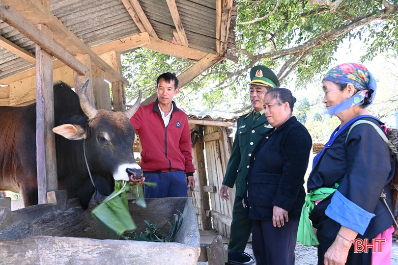 ảnh 6(2) - Copy.JPG