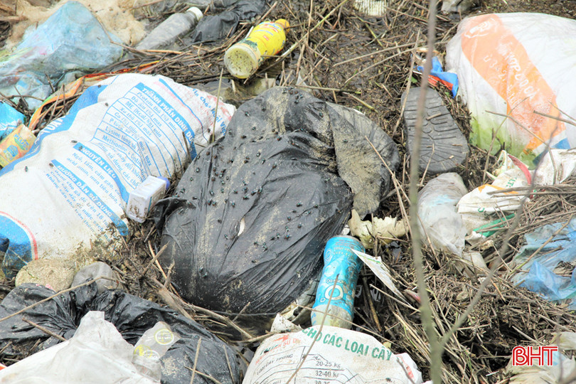 Những con ruồi xanh - Copy.jpg