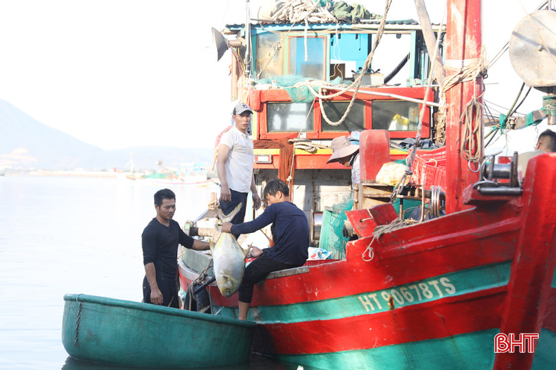 Ngư dân TX. Kỳ Anh phấn khởi vì những tháng đầu năm thuận lợi trong sản xuất, sản lượng khai thác được nhiều hơn năm ngoái, đánh bắt được những loại có giá trị cao. 5 - Copy.JPG