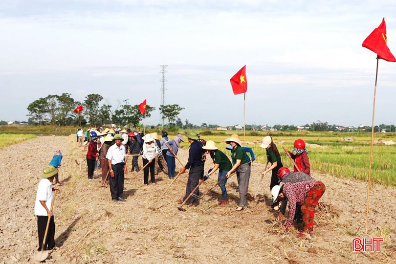 Vệ sinh đồng ruộng gắn với xây dựng hạ tầng sản xuất ở Phù Lưu. pl1 - Copy.jpg