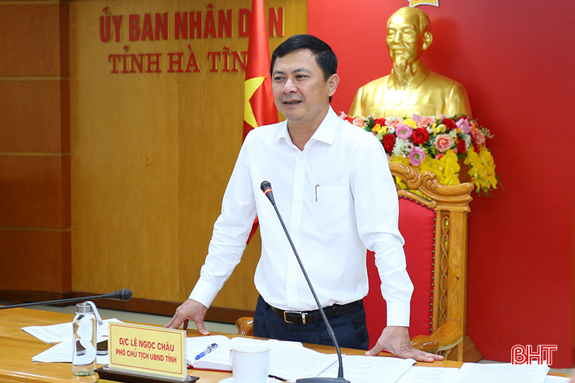 Phó Chủ tịch UBND tỉnh Lê Ngọc Châu kết luận cuộc họp. aIMG_4578.jpg