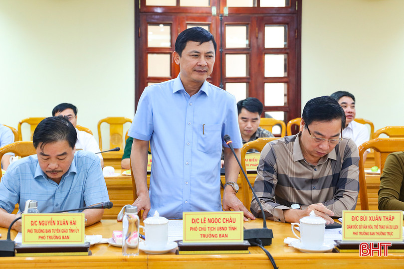 Phó Chủ tịch UBND tỉnh Lê Ngọc Châu phát biểu tại buổi làm việc. aIMG_0715.jpg