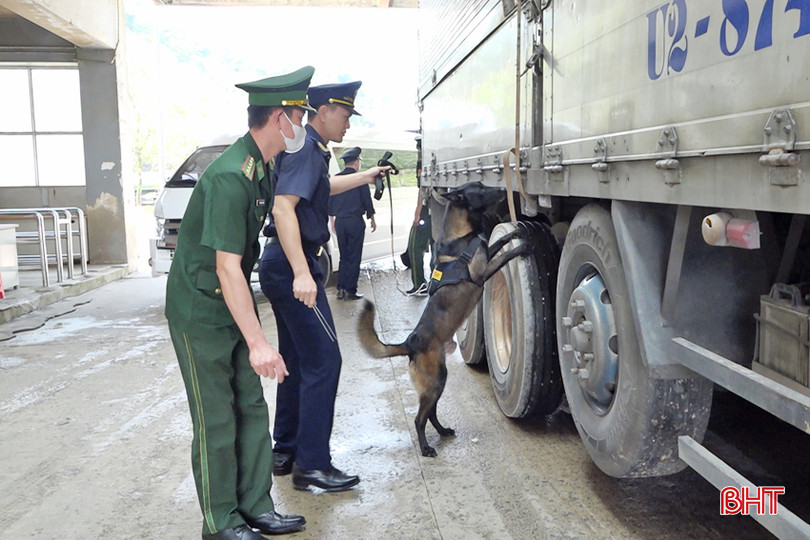 BĐBP Cầu Treo phối hợp với các lực lượng chức năng sử dụng chó nghiệp vụ để phòng chống các loại tội phạm, buôn lậu, gian lận thương mại. 123 - Copy.jpg