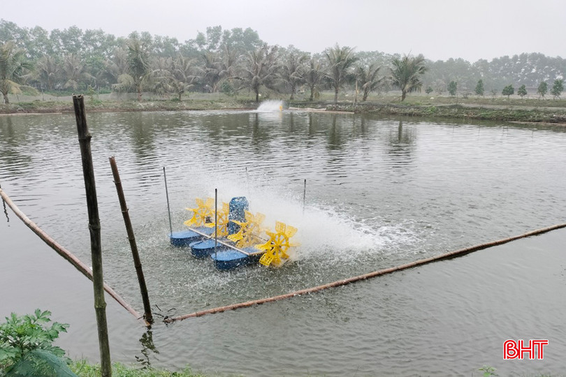 Quạt được bật thường xuyên để tạo ô xi dồi dào trong ao nuôi, nhất là giai đoạn tôm từ 200 con/kg đến lúc xuất bán. 1 - Copy.jpg