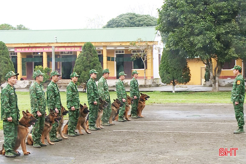 Tiểu đoàn Huấn luyện - Cơ động huấn luyện chó nghiệp vụ thực hiện các động tác kỹ luật cơ bản. 2.jpg
