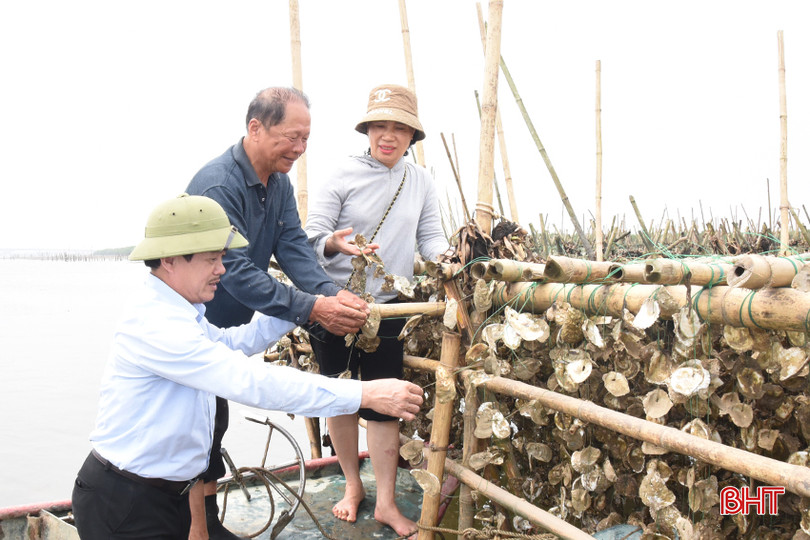 Những chuỗi hàu đá được nuôi hoàn toàn tự nhiên, không cấy giống, không chất kích thích... DSC_4327 - Copy.JPG
