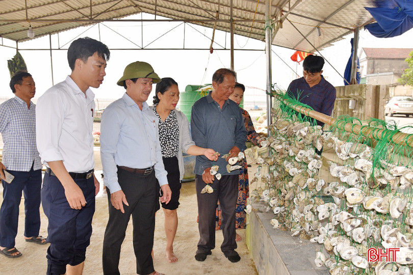 Các chuỗi giá thể chuẩn bị được đưa ra treo ở giàn nuôi hàu giữa bãi bồi ngoài sông. DSC_4230 - Copy.JPG