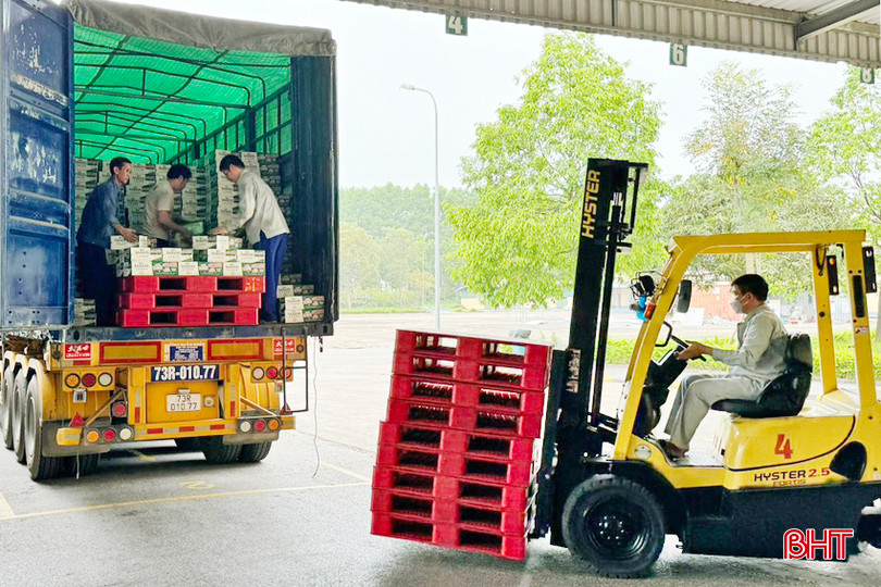 Lực lượng tự vệ của Công ty TNHH MTV Bia Sài Gòn – Hà Tĩnh luôn đóng vai trò nòng cốt, đi đầu trong sản xuất, kinh doanh, bảo vệ doanh nghiệp, bảo vệ trị an trên địa bàn. 123 - Copy.jpg