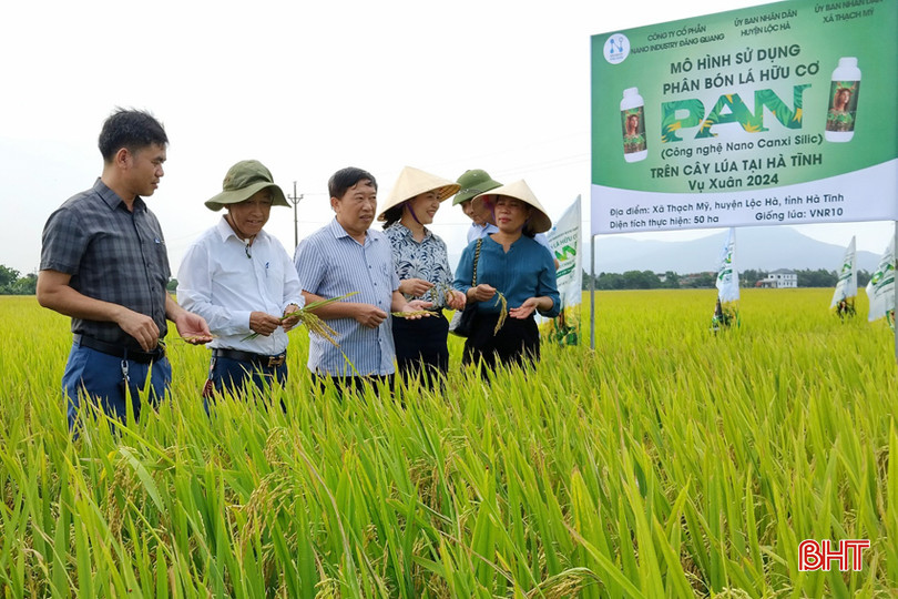 Công ty cổ phần Nano Industry Đăng Quang (Hà Nội) đánh giá kết quả hỗ trợ phân bón hữu cơ trên ruộng lúa xuân của xã Thạch Mỹ. 2 - Copy.jpg