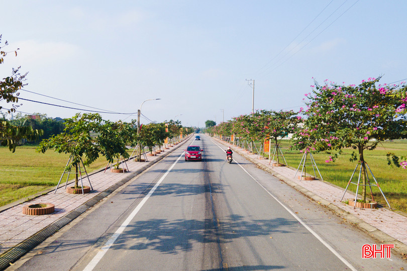 Những tuyến đường quê khang trang, xanh - sạch - đẹp trên quê hương Vua Mai Hắc Đế. 10(1) - Copy.jpg