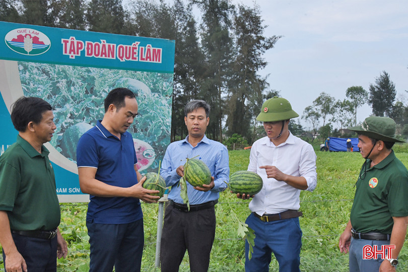 Các phòng, ngành chuyên môn huyện Lộc Hà và lãnh đạo xã Thịnh Lộc kiểm tra, đánh giá mô hình. DSC_6417 - Copy.JPG