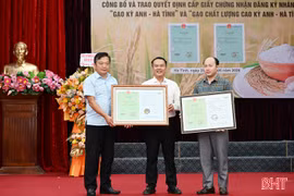 Mở ra cơ hội nâng cao giá trị cho gạo Kỳ Anh - Hà Tĩnh