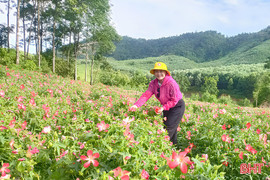 Nghị quyết 57 - đòn bẩy chuyển đổi số ngành nông nghiệp