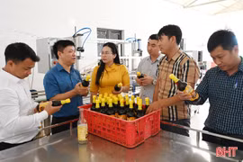 Tiền đề khai thác nhãn hiệu “Nước mắm Kỳ Ninh” trên thị trường quốc tế