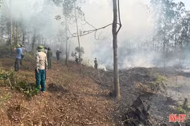 Kịp thời khống chế điểm phát lửa trên rừng cao su