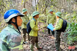 Chủ động giữ rừng ở nơi nóng nhất Hà Tĩnh