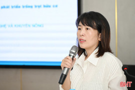 Hà Tĩnh có 8.764ha tiềm năng trồng lúa, rau củ quả và cây ăn quả hữu cơ