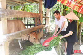 Tỷ lệ hộ nghèo ở xã miền núi Phúc Trạch giảm còn 1,16%