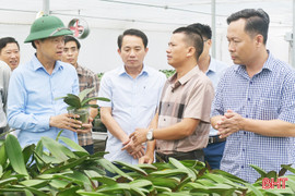 Nghị quyết 57 - “khơi dòng” bứt phá