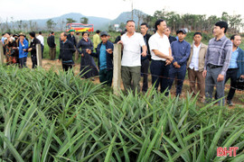 Hương Bình hỗ trợ sinh kế, hướng tới giảm nghèo bền vững