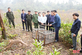 Thả 12 cá thể động vật quý hiếm về rừng tự nhiên Vườn Quốc gia Vũ Quang