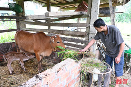 Hương Đô phát huy hiệu quả sinh kế nhỏ để giảm nghèo bền vững