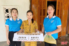 Nhiều hoạt động hỗ trợ phụ nữ khó khăn phát triển kinh tế ở Hương Khê
