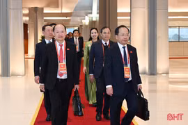 Đoàn đại biểu tỉnh Hà Tĩnh dự đại hội.