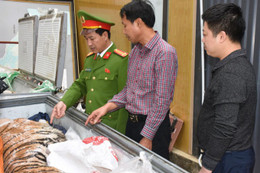 Hai người bị bắt vì mua hai con hổ 400 kg nấu cao bán dịp Tết