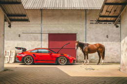 Loạt xe lấy cảm hứng từ hình tượng ngựa