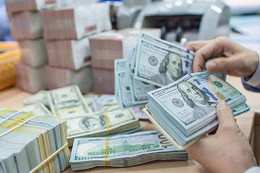 Tỷ giá USD hôm nay 14/8/2025: Giảm hai phiên liên tiếp