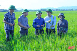 Chủ động phòng trừ dịch bệnh trên cây trồng, vật nuôi