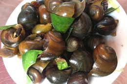 Cách chọn ốc làm sẵn ngon sạch, không 'ngậm' hóa chất cho bữa cơm gia đình