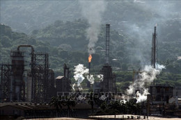 Những nguồn tài nguyên đáng chú ý của Venezuela ngoài dầu mỏ