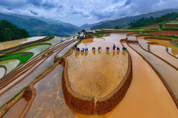 Những khoảnh khắc văn hóa Việt đoạt giải Ảnh Di sản 2025