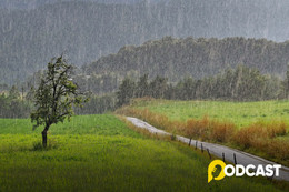 Podcast tản văn: Bâng khuâng cảm xúc giao mùa