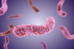 Bệnh Whitmore nguy hiểm thế nào?