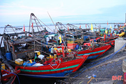 Không ghi nhật ký khai thác thủy sản bị phạt tới 700 triệu đồng
