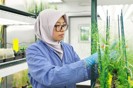 Các nhà khoa học hàng đầu thế giới hiến kế nuôi sống 10 tỷ người tại Tuần lễ KHCN VinFuture 2025