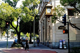 Được bồi thường 7,5 triệu USD vì vấp rễ cây trên vỉa hè