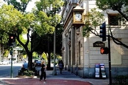 Được bồi thường 7,5 triệu USD vì vấp rễ cây trên vỉa hè