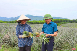 Quy định về đơn vị sự nghiệp công lập khuyến nông cấp tỉnh, cấp xã