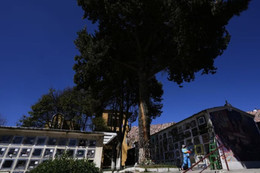 Tai nạn thảm khốc ở Bolivia, ít nhất 16 người thiệt mạng