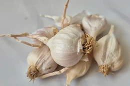 6 loại rau, gia vị quen thuộc giúp trị cúm tại nhà