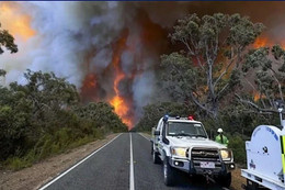 Thảm họa cháy rừng ở Australia: 74.000 ha rừng bị thiêu rụi