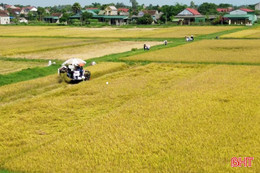 Nghị quyết 06 tạo đột phá trong sản xuất nông nghiệp Hà Tĩnh