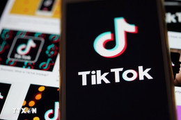 TikTok, Facebook bị cáo buộc duyệt tin sai, tin giả