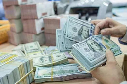 Tỷ giá USD hôm nay 13/11/2024: Đồng USD tăng giá