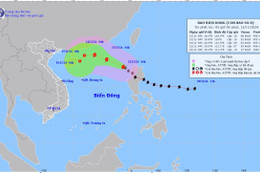 Thông tin về cơn bão số 8 trên biển Đông